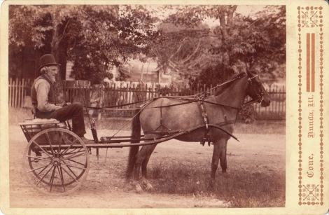 horse buggy_0001
